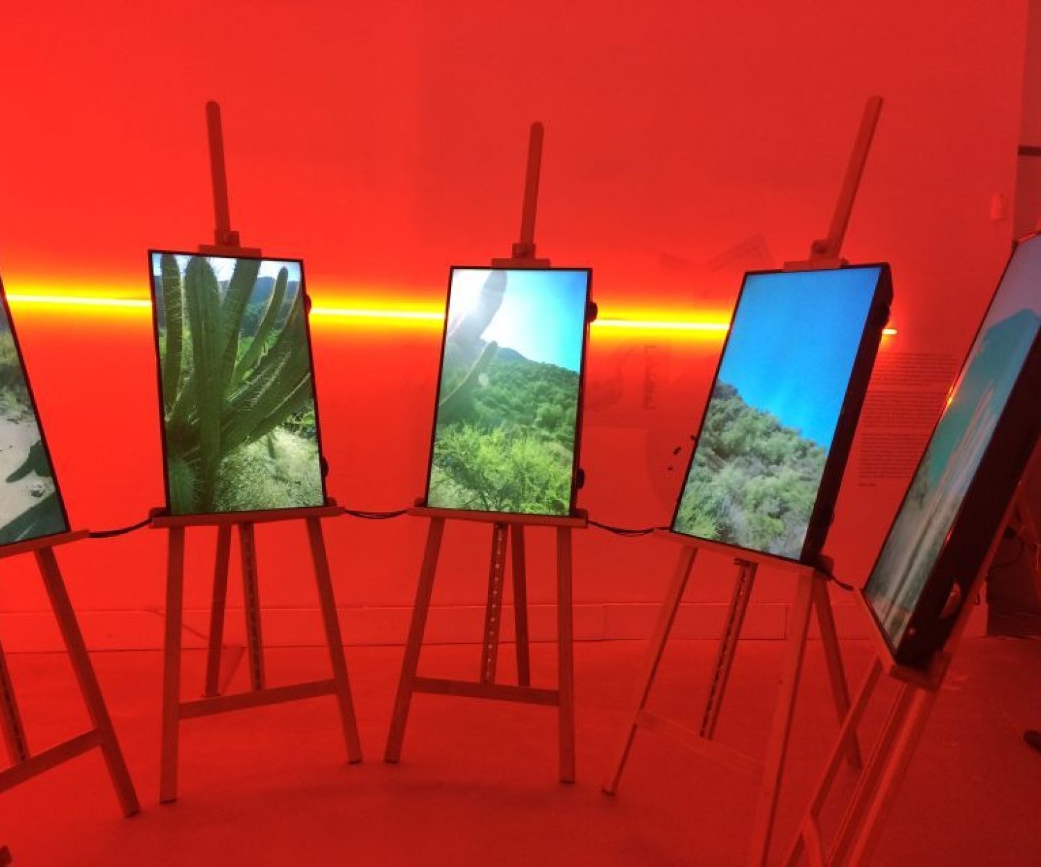 Nudge della mobilità | biennale2016 | Irene Ivoi
